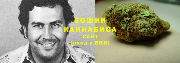 дмт Краснослободск