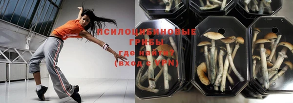дмт Краснослободск