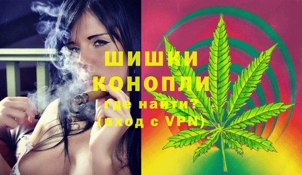 шишки Абинск