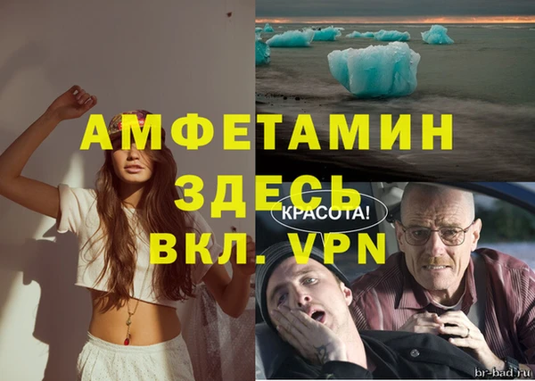 шишки Абинск