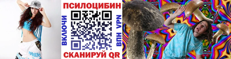 Псилоцибиновые грибы Cubensis  ОМГ ОМГ как зайти  Правдинск 
